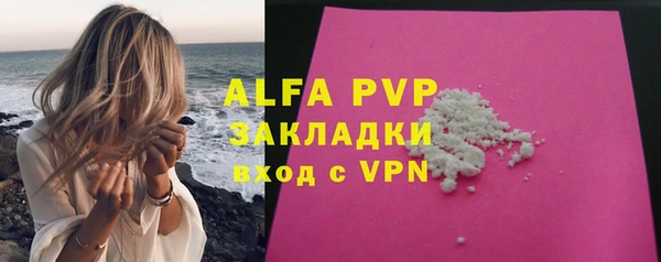 СК Алексин