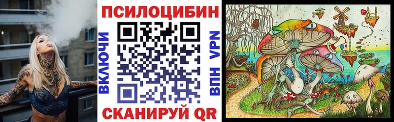 наркота Сочи кракен зеркало Галлюциногенные грибы мухоморы
