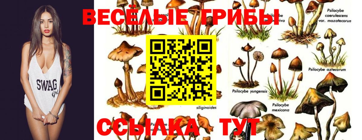 Галлюциногенные грибы Magic Shrooms Сочи