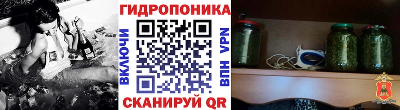 Бошки Шишки семена  Сочи 